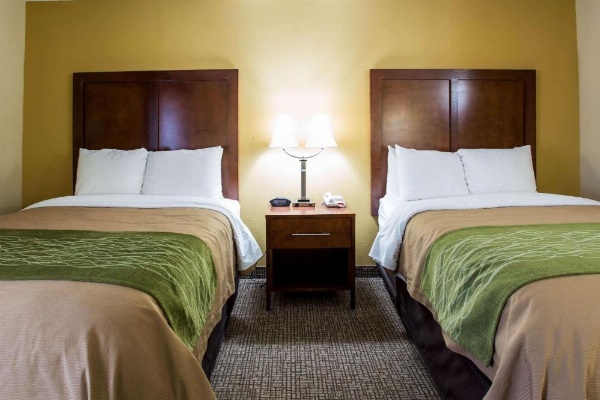Comfort Inn Columbia - Bush River image 17